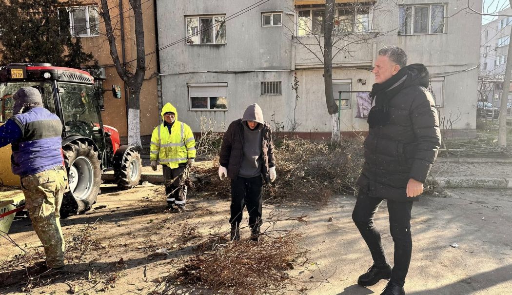 Primăria Năvodari amenajează spaţiile verzi din localitate - navodari-amenajare-1738771986.jpg