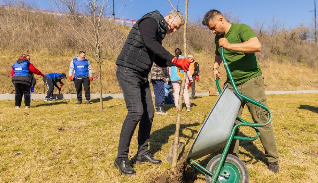Primăria Năvodari a contribuit la plantarea a peste 7.000 de arbori în localitate - navodari-arbori-1741617146.jpg