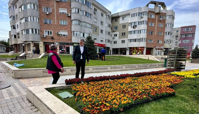 Primăria Năvodari plantează flori în localitate. „Nu putem neglija aspectul oraşului” - navodari-flori-1684495929.jpg
