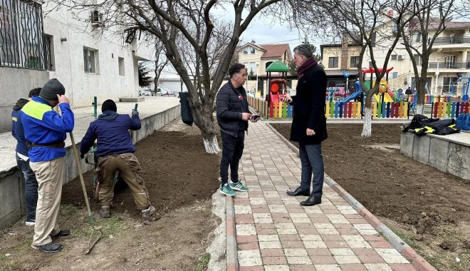 Primăria Năvodari amenajează spaţiile verzi din localitate - navodari-lucrari-1677771039.jpg