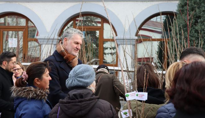 Primăria Năvodari a oferit 1000 de arbori pentru cetăţenii din localitate