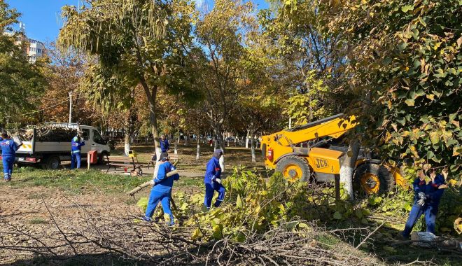 Administraţia locală din Năvodari continuă lucrările de igienizare în oraş - navodaritreaba-1666886748.jpg