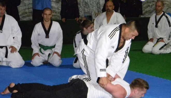 Iată cine reprezintă Constanța la cea de-a treia ediție a Seminarului Tehnic Național de Taekwondo - navytaekwondo-1369982708.jpg