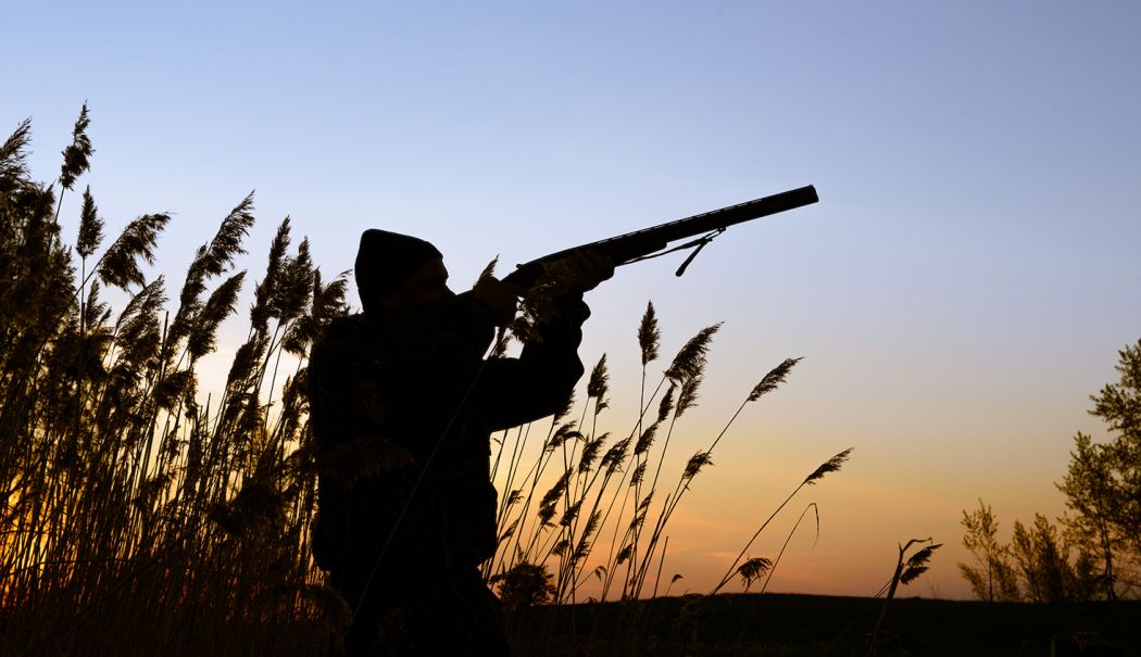 TRAGEDIE ÎN SĂPTĂMÂNA PATIMILOR! Un bărbat a fost împuşcat mortal la o partidă de vânătoare - ncsucnrhuntingistockfeatured-1714730942.jpg