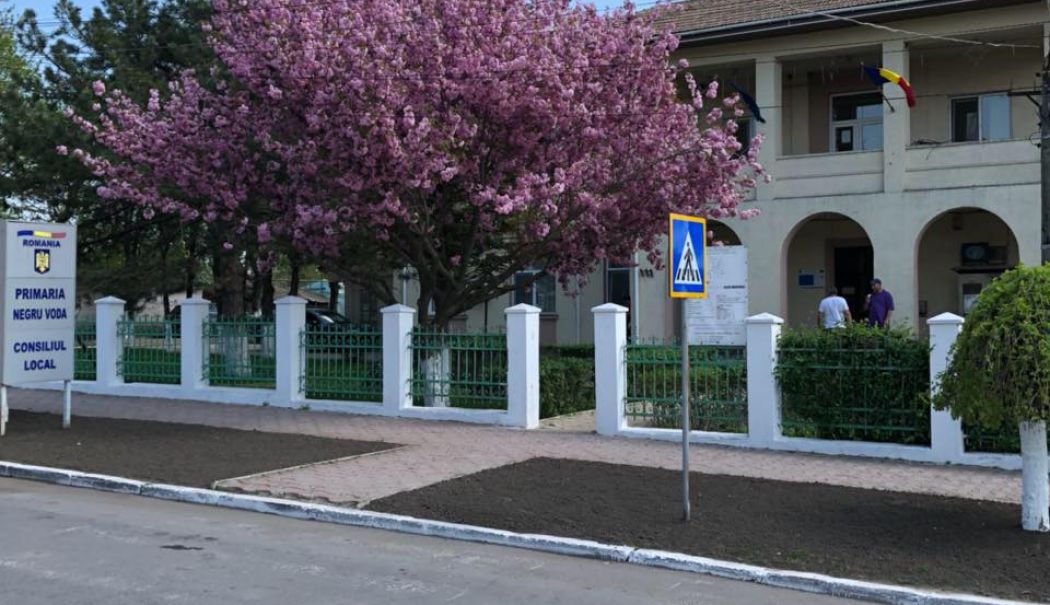 S-a constituit Consiliul Local la Negru Vodă. AUR şi PNL au majoritate - negru-voda-consiliu-1731002804.jpg