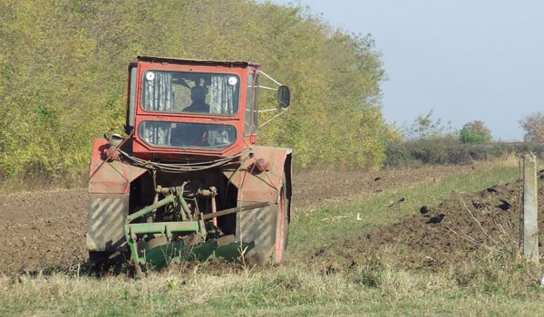 Vești bune pentru fermierii constănțeni. Au de primit 40 milioane de euro - news2009102112354641382378576600-1327007876.jpg