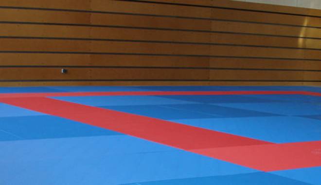Nici LPS, nici Szemerjai, nici judo-ul constănțean nu merită mizerii! - nici-1450286982.jpg