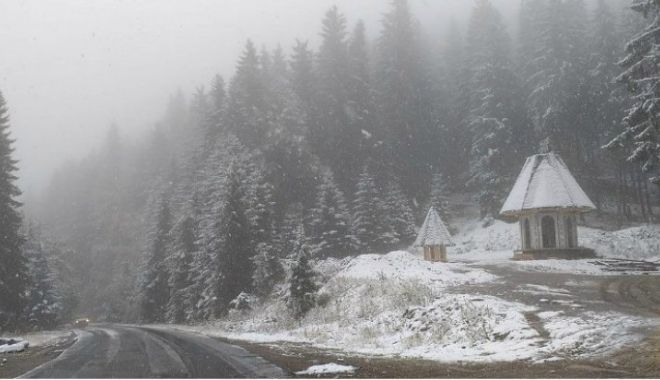 A VENIT IARNA! Ninge ca-n povești, pe Ceahlău - ningeceahlau15984300-1572434537.jpg
