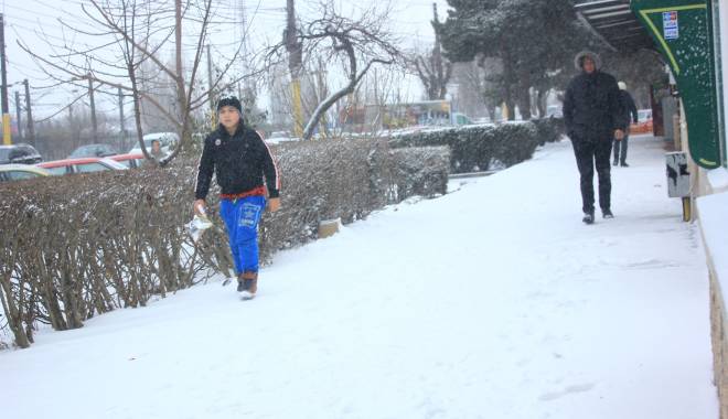 NINSORI LA NOAPTE, la Constanța - ninsori-1453361775.jpg