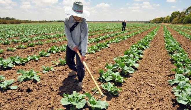 Noi reglementări în agricultură - noireglementariagricultura-1478006329.jpg