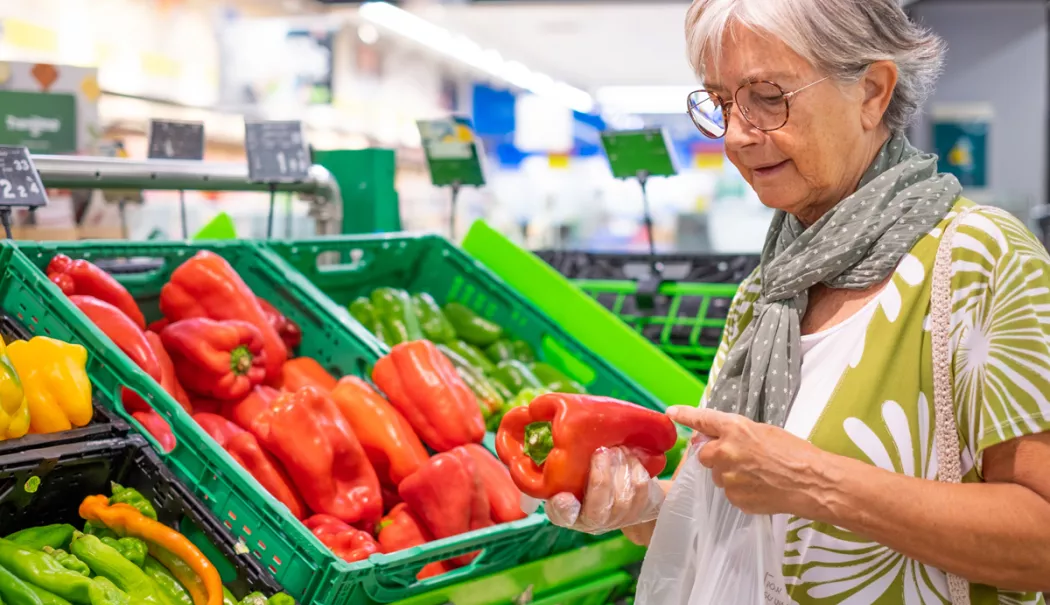 Noul supermarket din oraș - noul-supermarket-1768411481.webp