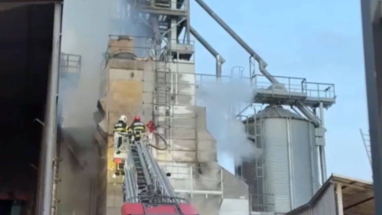 Incendiu la un uscător de cereale din Tulcea. Ard 10 tone de semințe de floarea-soarelui