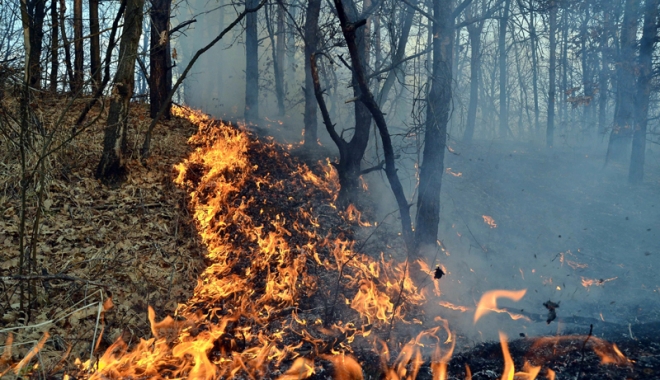 Numărul incendiilor provocate intenționat în județul Constanța, în creștere - numarul-1468341784.jpg