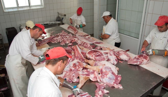 Numărul porcilor sacrificați a scăzut de patru ori - numarulporcilorsacrificati-1488894574.jpg