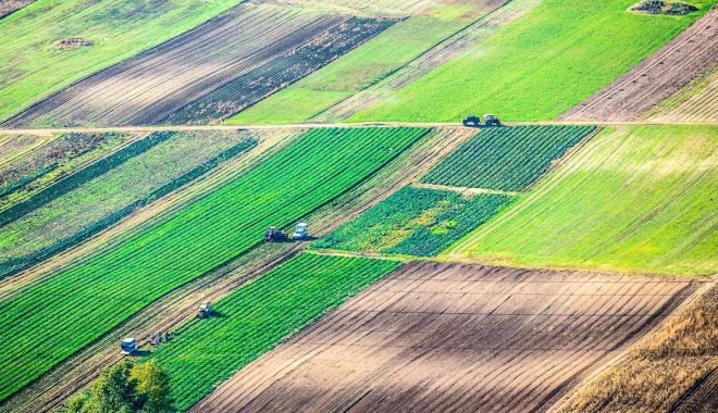 Terenurile agricole, vândute mai greu străinilor. „Nu este uşor să te baţi cu ei” - nunevindem-1606158900.jpg