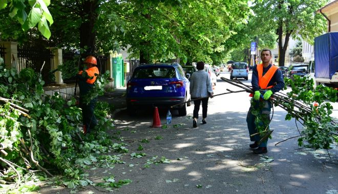 Nu vă mai parcați mașinile unde se toaletează copacii! - nuvamaiparcati-1557766335.jpg