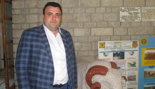 Oaia românească se vinde bine pe piața arabă, dar visează să ajungă în Occident - oaiaromaneascasevindeiancupolifr-1559943085.jpg