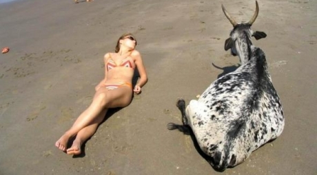 Obiceiuri sexuale: unde virginele n-au voie să se mărite, iar animalele sunt partenere legale - obiceiuri14252600-1312550980.jpg