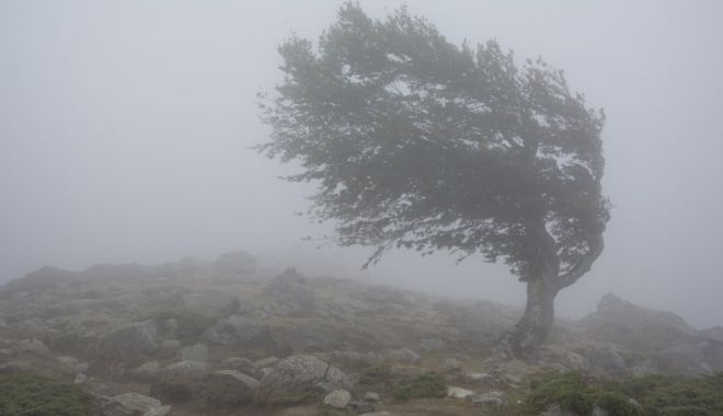Cod galben la Constanţa, din această seară! Ce spun meteorologii