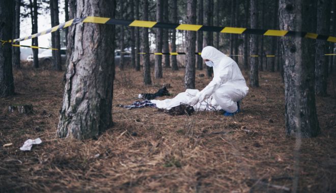 Scheletul unui bărbat, descoperit într-o pădure din Germania. Polițiștii au găsit și un pașaport românesc expirat lângă el