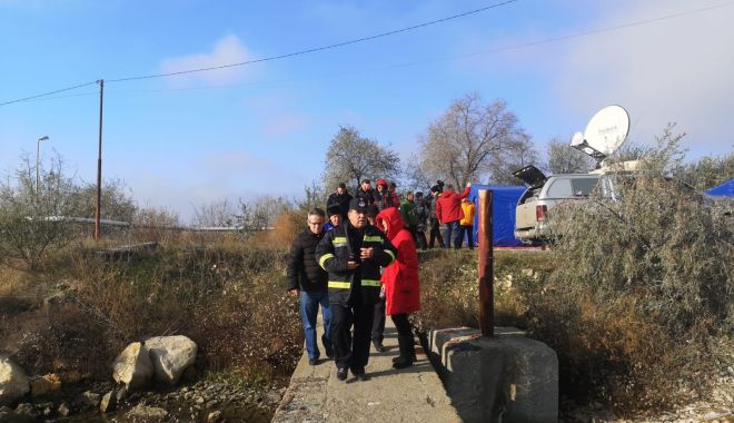 Ovinele salvate de pe nava răsturnată la Midia, protejate. 