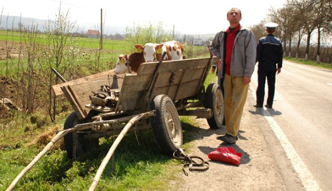 Olteanul în capitală - olteanul-1619704745.jpg