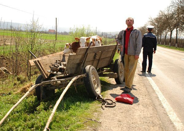 Olteanul în capitală - olteanul-1757433219.jpg