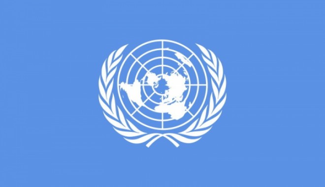 Cele două Corei s-au luat la bătaie la ONU - on-1331573734.jpg