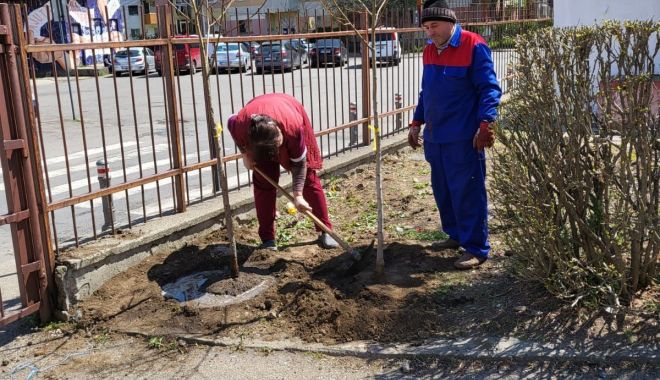Asociaţia VOT a obţinut sponsorizarea pentru proiectul 