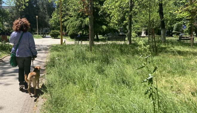 CHIAR NU VĂ POTOLIȚI? O NOUĂ TAXĂ pentru constănţeni, pentru amenajarea şi întreţinerea spaţiilor verzi - onouataxa-1636641205.jpg