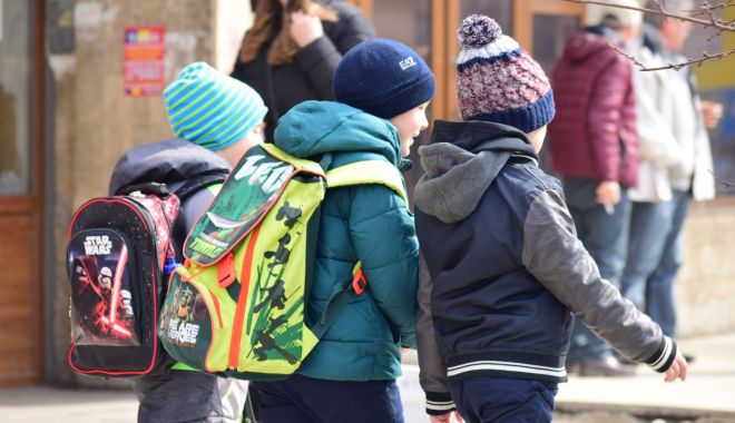 Opt primării din județul Constanța, obligate de instanță să acorde burse elevilor - optprimarii-1583705225.jpg