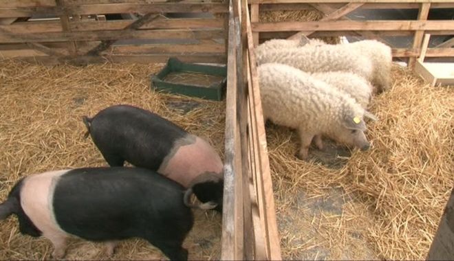 Ordinul care stabileşte tipurile de exploataţii, în dezbatere publică - ordinulcarestabileste-1613921940.jpg