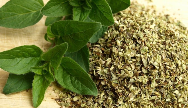 Oregano stopează dezvoltarea celulelor maligne - oregano-1478688158.jpg