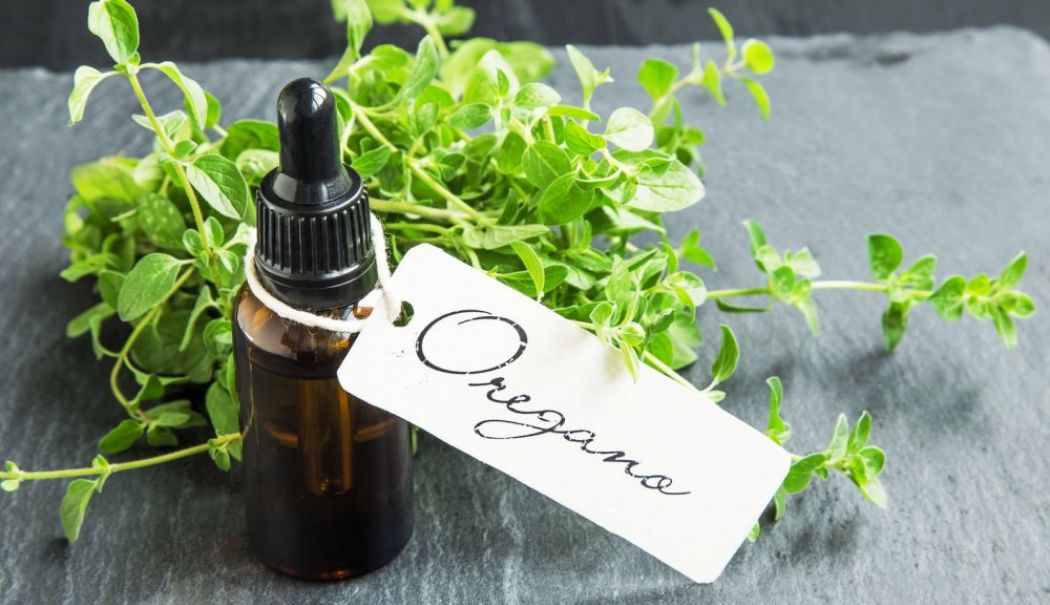 Uleiul de oregano ne ajută la tratarea gripei și a răcelilor - oregano-1753459667.jpg