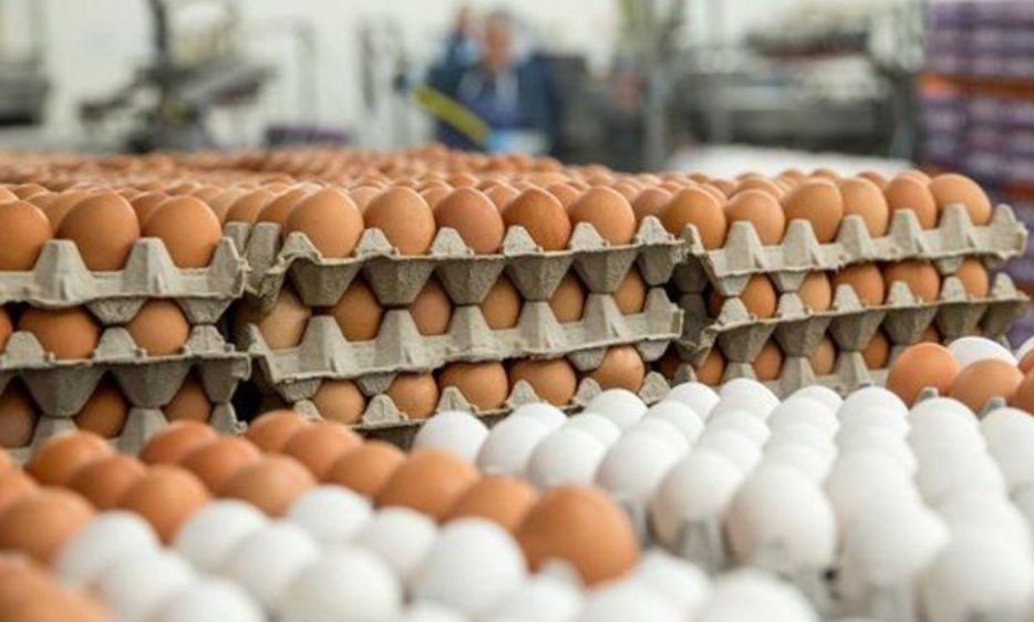 Ministrul Agriculturii solicită CE să intervină în importurile ucrainene de ouă şi carne de pasăre