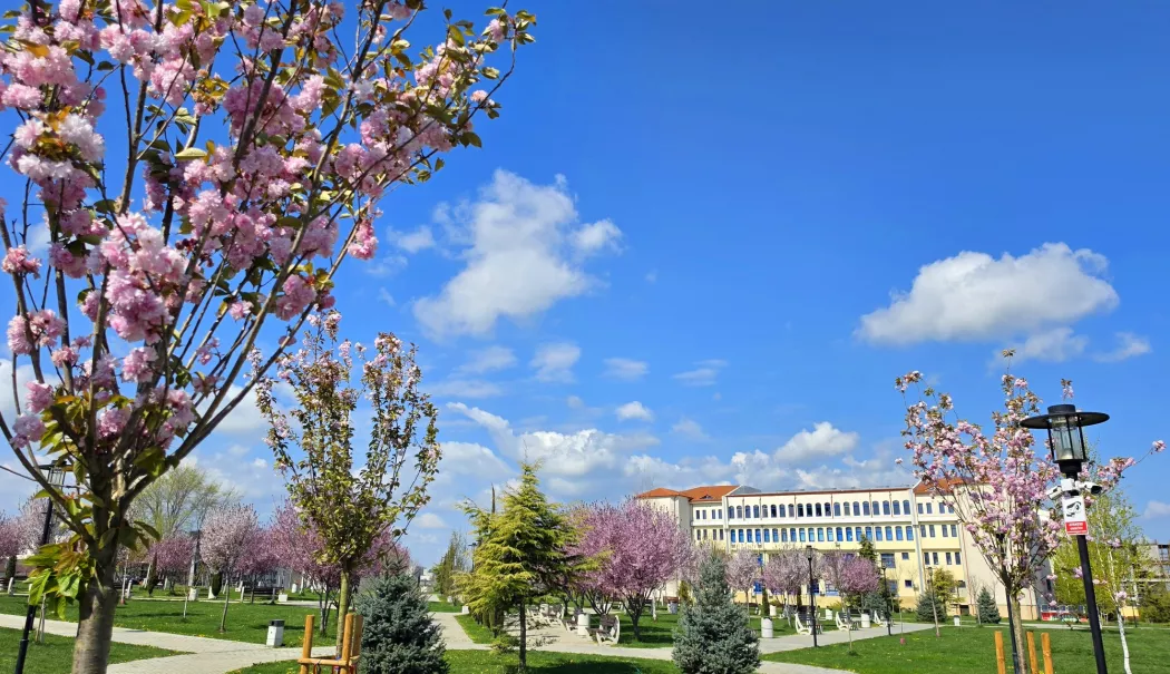 Proiectul „University Park” a pierdut un partener-cheie. Episodul „Nu mai comentați, donați!” se uită greu