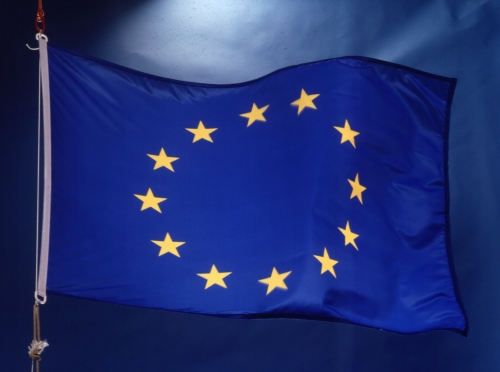 Miniștrii de externe din UE își exprimă îngrijorarea față de acțiunile Israelului în Fâșia Gaza - p007005001h-1326805390.jpg