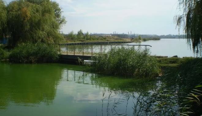 Update / Crimă sau suicid? DESCOPERIRE MACABRĂ, pe lacul Tăbăcărie din Constanța - p91300351332415669-1437822402.jpg