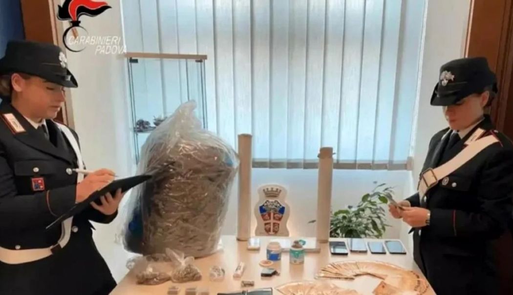 Un moldovean s-a trezit acasă cu un colet cu 9 kg de marijuana - pachet-de-marijuana-1742212680.jpg