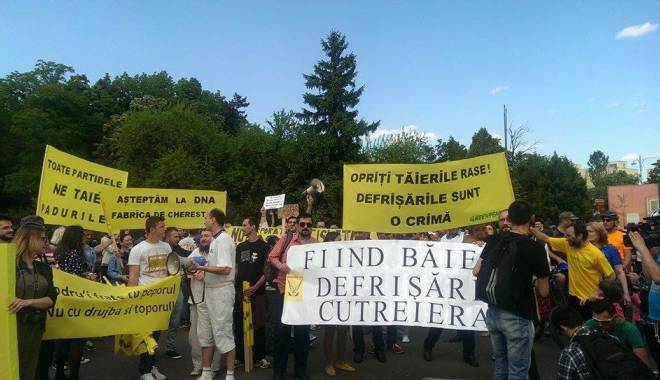 Românii ies în stradă, astăzi, împotriva defrișărilor abuzive - padure-1431765152.jpg