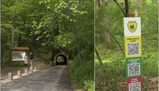 Pădurea smart unde turiştii află despre secretele locului cu telefonul mobil