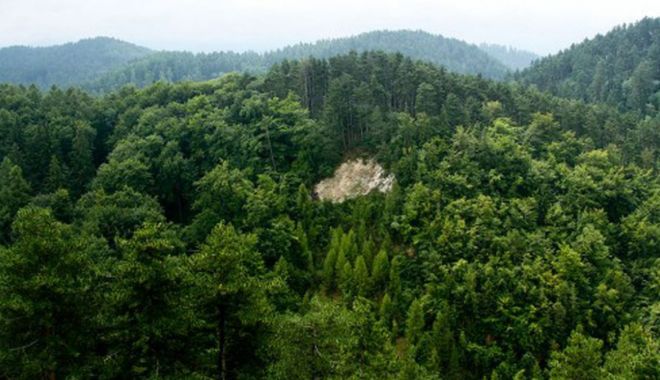 Romsilva a regenerat 13.227 hectare de păduriîn 2021. Bugetul alocat se apropie de 200 milioane lei - paduri-1641740453.jpg