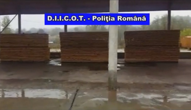 Pădurile defrișate, exportate prin Portul Constanța - padurile-1476289904.jpg