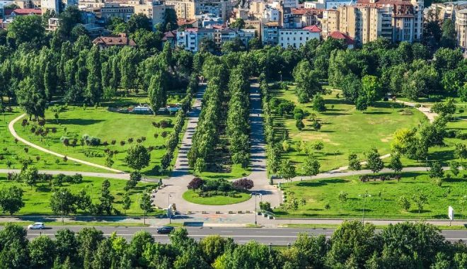 Ministerul Mediului: A fost lansat ghidul pentru programul de păduri urbane, finanțat prin PNRR