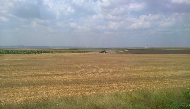 Agricultorii constănțeni ar trebui să-și facă griji? Iată ce spune prognoza agrometeorologică pentru următoarea săptămână - pajiste23iulie-1378287390.jpg