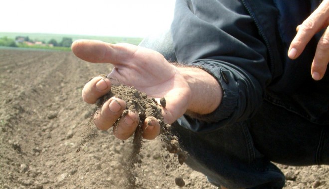 Agricultorii constănțeni pot sta liniștiți. Nivelul de umiditate din sol este unul optim - pamant-1360683981.jpg