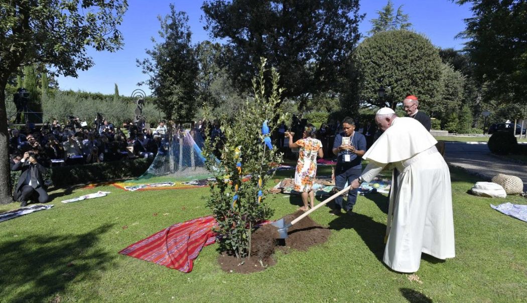 Papa Francisc vrea parc solar pentru Statul Cetăţii Vaticanului - papa--1719418720.jpeg
