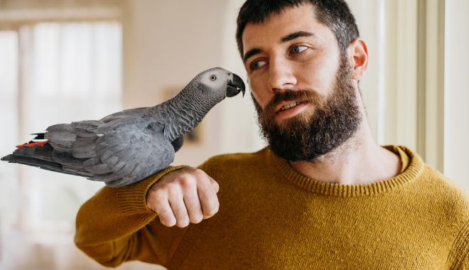 Papagalul vorbăreț - papagalul-1631104694.jpg