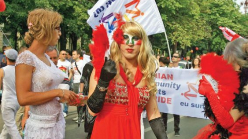 Puiu Hașotti: Homosexualii sunt doar niște oameni bolnavi - paradagay26110900-1365946994.jpg