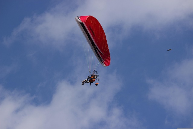 Final tragic pentru un pilot și pasagera sa. Parapanta cu motor s-a prăbușit pe câmp - paraglider1526100640-1773643255.webp